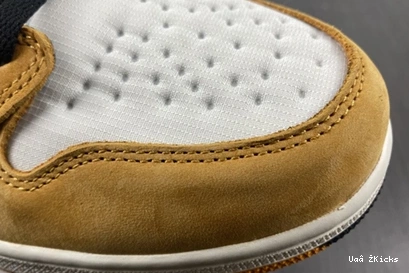 Curry Gore-Tex Jordan Light High DB2889-700 1 Durable Element 172  1031